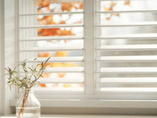  What are the practical benefits of shutters?