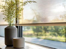  Harvey's 5% Sunscreen Roller Blinds