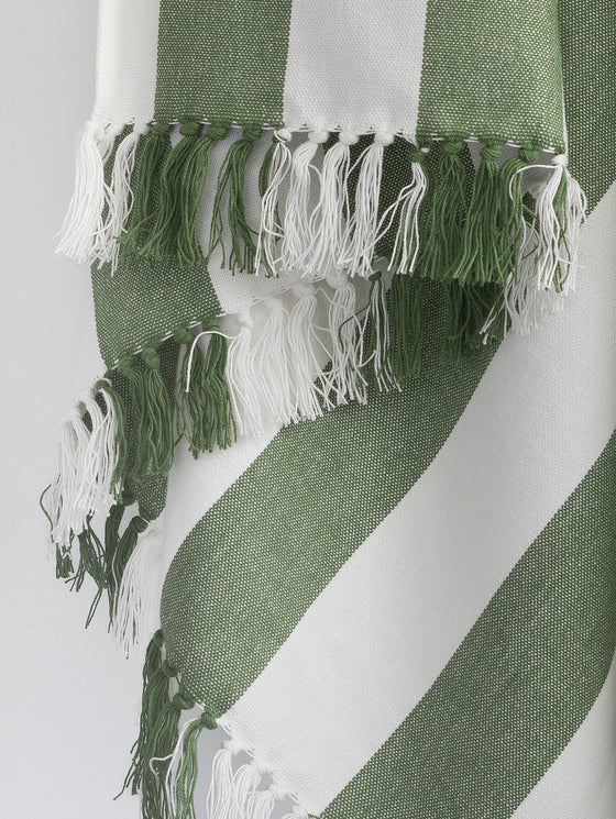 Coronado Stripe Throw - Mint Green/White