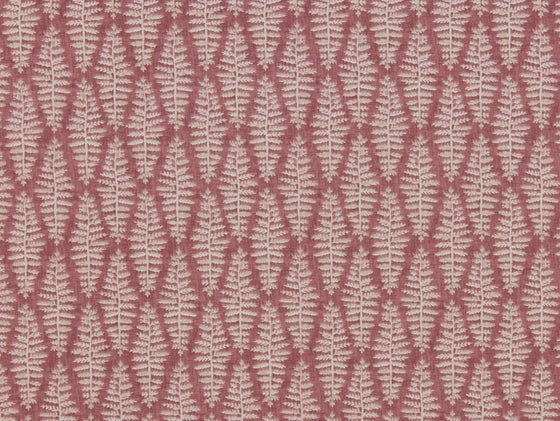 Fernia Rosa Fabric